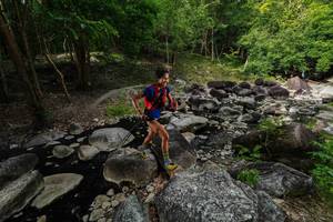 BIB: 
                            <button type="button" onclick="openModal(18594758)" class="btn btn-primary btn-sm float-right btn-popup" data-toggle="modal" data-target=".modal-high-quality">
                        <i class="fas fa-shopping-cart"></i> Add to Cart
                    </button>
                                            <button type="button" onclick="isThisMe(18594758, true)" class="btn btn-success btn-sm float-right btn-popup btn-isme hidden" data-toggle="tooltip" data-placement="bottom" title="นี่คือรูปของคุณใช่ไหม คลิกที่นี่เพื่อเอาเข้าอัลบั้ม">
                        <i class="fas fa-plus"></i> Add to album
                    </button>
                    <button type="button" onclick="isThisMe(18594758, false)" class="btn btn-warning btn-sm float-right btn-popup btn-isnotme hidden">
                        <i class="fas fa-ban"></i> Remove from album
                    </button>